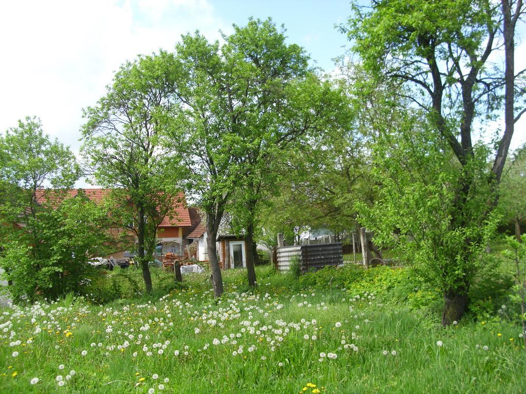 Rosmarinhof Appartamento Heiligenkreuz im Lafnitztal Esterno foto